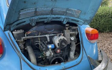 Unknown-Super-beetle-1973-Blue-4