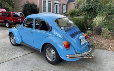 Unknown-Super-beetle-1973-Blue-6
