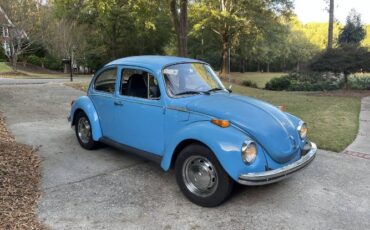 Unknown-Super-beetle-1973-Blue-9