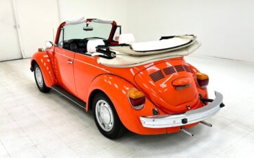 Unknown-Super-beetle-1973-Bright-Orange-White-8