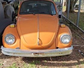 Unknown-Super-beetle-1973-Orange