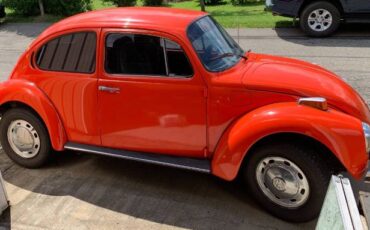 Unknown-Super-beetle-1973-Orange