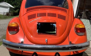 Unknown-Super-beetle-1973-Orange-6