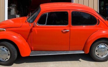 Unknown-Super-beetle-1973-Orange-8
