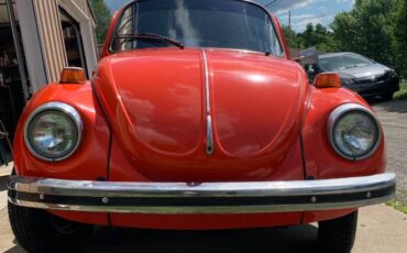 Unknown-Super-beetle-1973-Orange-9