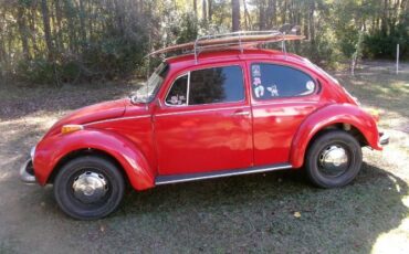 Unknown-Super-beetle-1973-Red-13