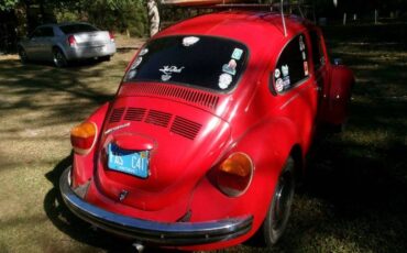 Unknown-Super-beetle-1973-Red-14