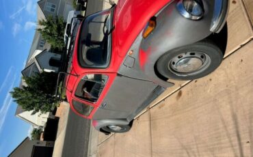 Unknown-Super-beetle-1973-Red-Gray-2