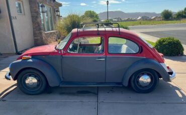 Unknown-Super-beetle-1973-Red-Gray