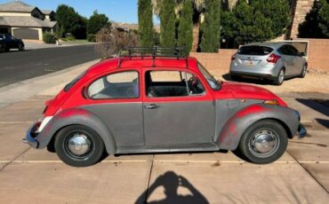 Unknown-Super-beetle-1973-Red-Gray-4