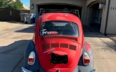 Unknown-Super-beetle-1973-Red-Gray-6