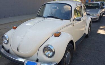 Unknown-Super-beetle-1973-White-12