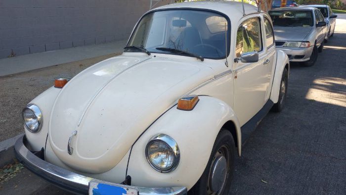 Unknown-Super-beetle-1973-White-12