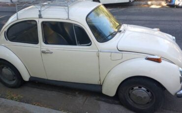 Unknown-Super-beetle-1973-White-14