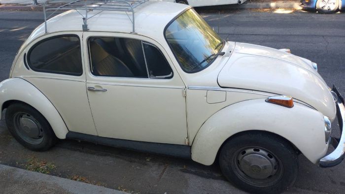 Unknown-Super-beetle-1973-White-14