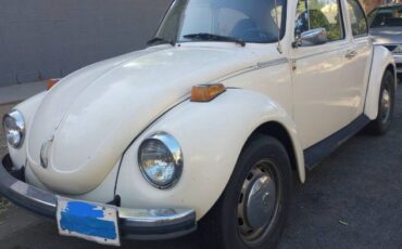 Unknown-Super-beetle-1973-White-15