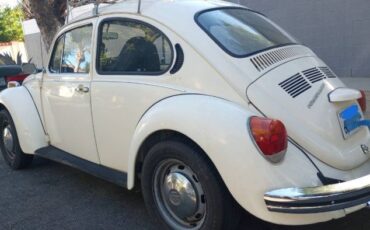 Unknown-Super-beetle-1973-White-16