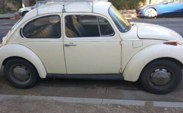 Unknown-Super-beetle-1973-White-17