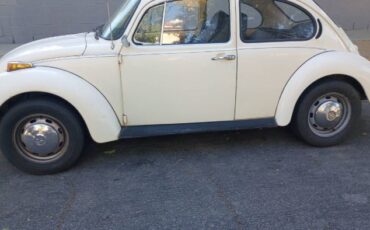 Unknown-Super-beetle-1973-White-18