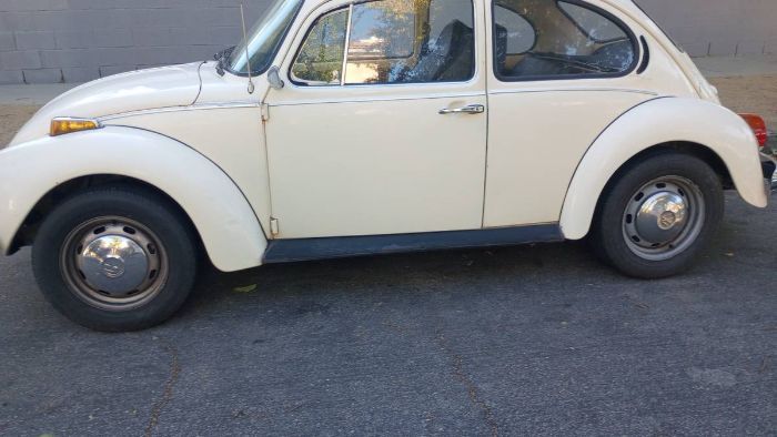 Unknown-Super-beetle-1973-White-18