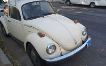 Unknown-Super-beetle-1973-White-19