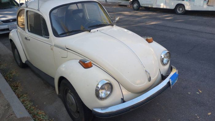 Unknown-Super-beetle-1973-White-19