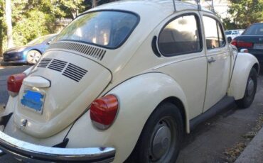 Unknown-Super-beetle-1973-White-20
