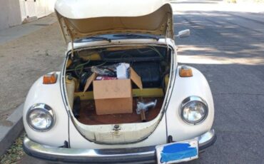 Unknown-Super-beetle-1973-White-4