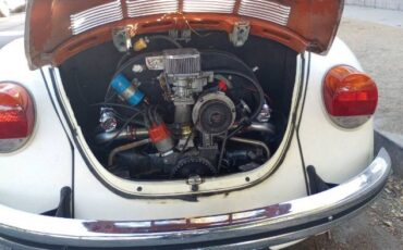 Unknown-Super-beetle-1973-White-7