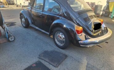 Unknown-Super-beetle-1974-Black-10