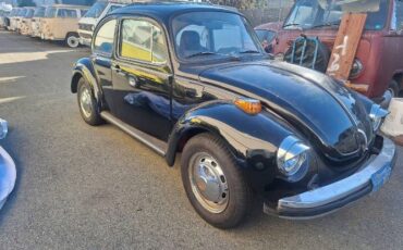 Unknown-Super-beetle-1974-Black