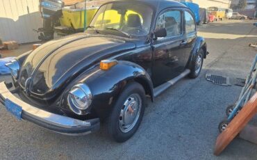 Unknown-Super-beetle-1974-Black-7