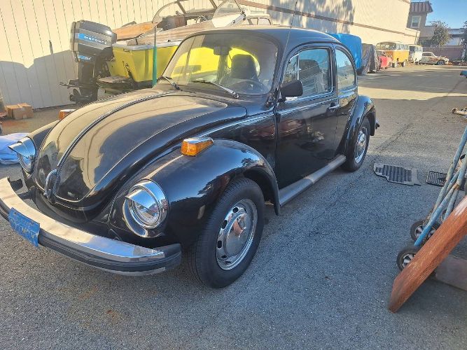 Unknown-Super-beetle-1974-Black-7