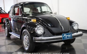 Unknown-Super-beetle-1974-Black-Burgundy-15