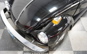 Unknown-Super-beetle-1974-Black-Burgundy-28