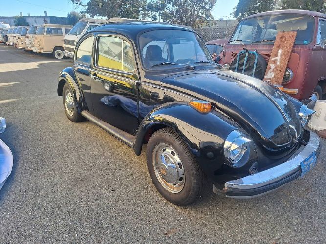 Unknown-Super-beetle-1974-Black