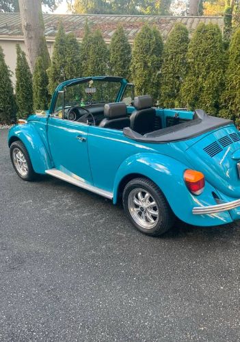 Unknown-Super-beetle-1974-Blue-2