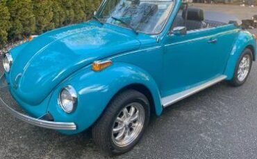 Unknown-Super-beetle-1974-Blue