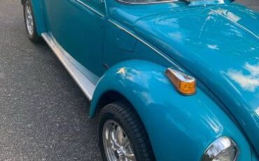 Unknown-Super-beetle-1974-Blue-7