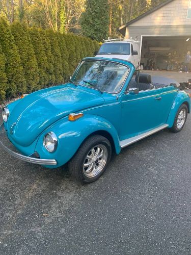 Unknown-Super-beetle-1974-Blue