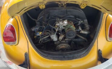 Unknown-Super-beetle-1974-Yellow-Black-3