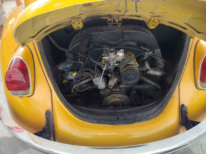 Unknown-Super-beetle-1974-Yellow-Black-3