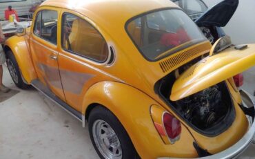 Unknown-Super-beetle-1974-Yellow-Black-5