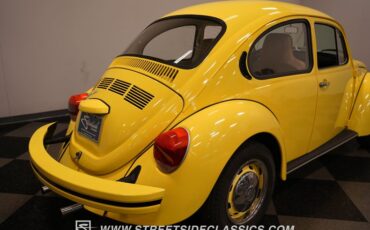 Unknown-Super-beetle-1974-Yellow-Tan-11