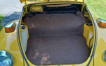 Unknown-Super-beetle-1975-Yellow-2