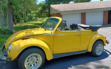 Unknown-Super-beetle-1975-Yellow-7