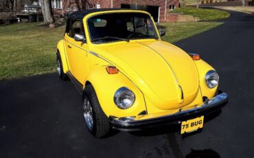 Unknown-Super-beetle-1975-Yellow-8