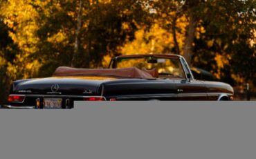 Unknown-Tf-1955-Red-Brown-4