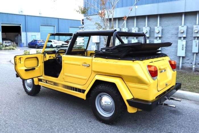 Unknown-Thing-1974-Yellow-Black-3