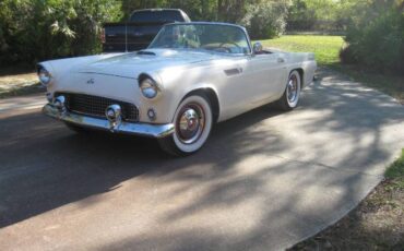 Unknown-Thunderbird-1955-10